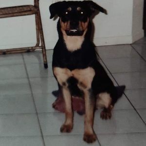 Meet your Posher, Dwayne